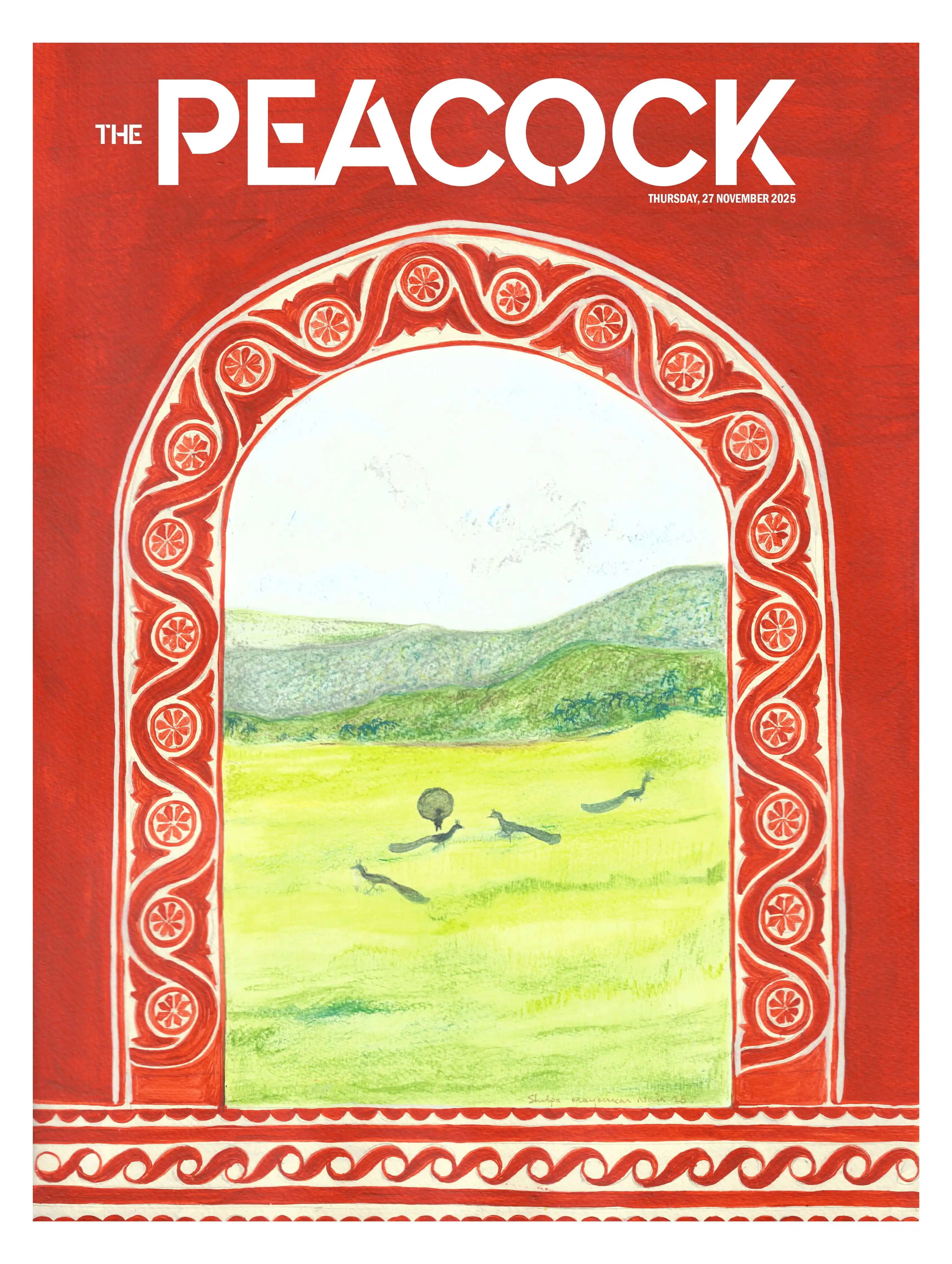 The Peacock - 27-11-2025 image